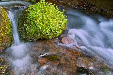 流水意味|「水流」と「流水」の違い・意味と使い方・由来や例文 